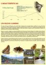 Cartel Alternativa Mariposas_Página_2.jpg